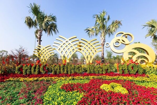 Vinhomes Grand Park | Lễ hội Hoa Mai Phú Quý