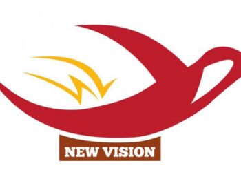 Logo chủ đầu tư New Vision