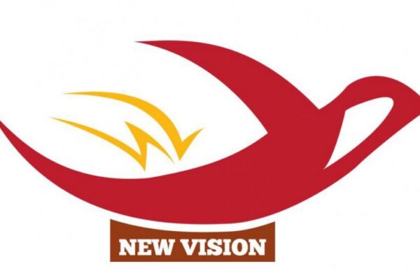 Logo chủ đầu tư New Vision