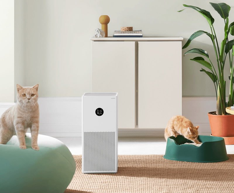 xử lý mùi hôi nhà vệ sinh chung cư