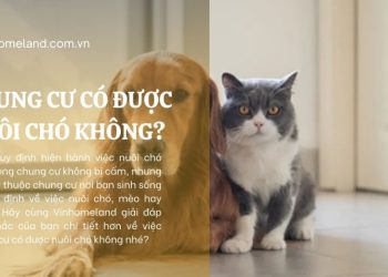 chung cư có được nuôi chó không