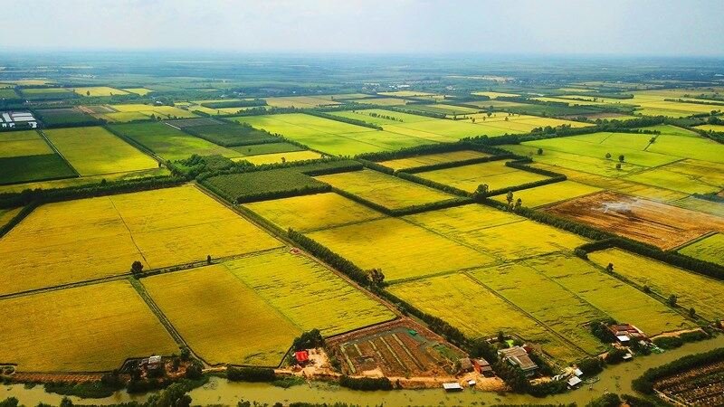 pháp lý dự án bất động sản